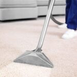 Why Professional Carpet Cleaning Bournemouth Beats DIY Every Time