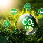 Affordable Carbon Offsetting UK: How to Reduce Your Footprint on a Budget