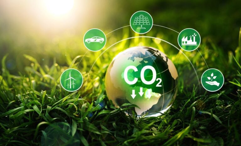 Affordable Carbon Offsetting UK: How to Reduce Your Footprint on a Budget