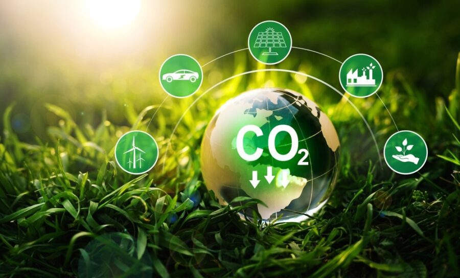 Affordable Carbon Offsetting UK: How to Reduce Your Footprint on a Budget